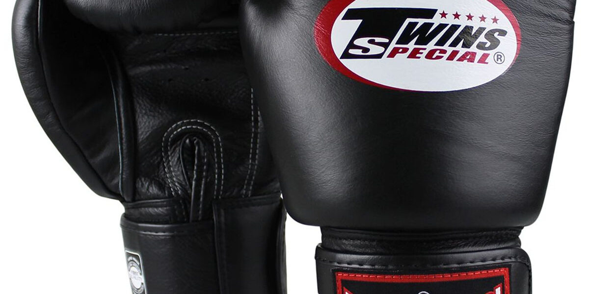 Boxe Thaïlandaise à Sens (89100)