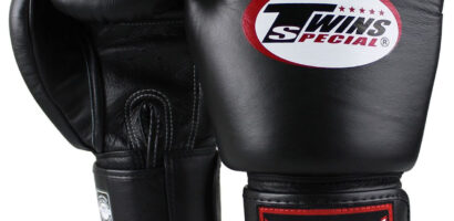 Boxe Thaïlandaise à Sens (89100)